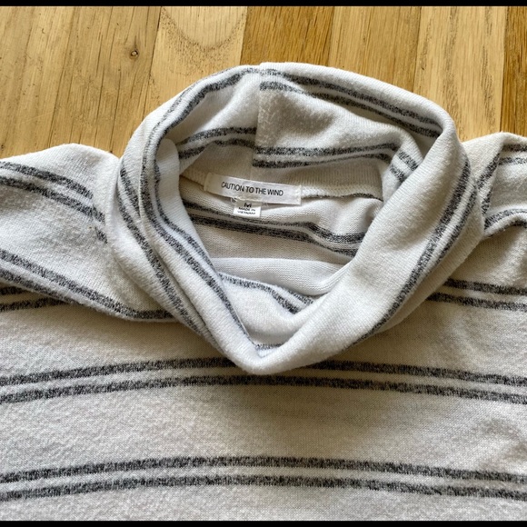 Caution to the Wind gray stripe cowlneck top - Picture 5 of 8